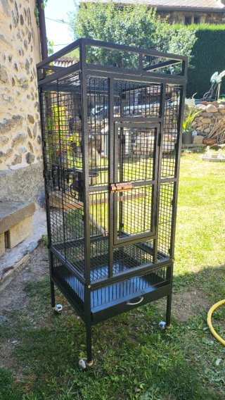 Jaula Loro marca ICA 'Yaco Recreo'. Hierro forjado