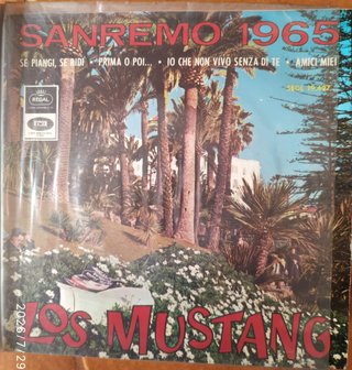 Colección de unos 40 minivinilos (singles)