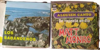 Colección de unos 40 minivinilos (singles)