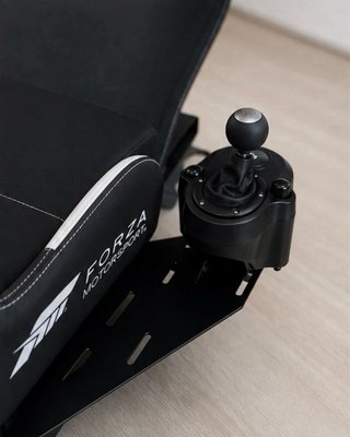Playseat Forza Horizon + G29 + Shifter con supporto