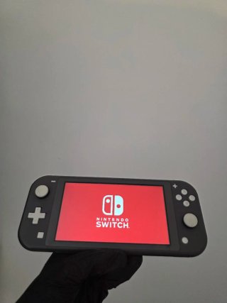 Nintendo Switch Lite Grigia + Caricatore 2839