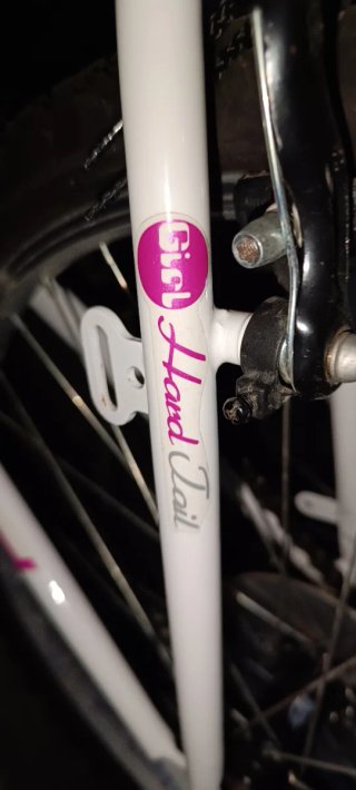 Bicicleta 24 Blanca y Fucsia