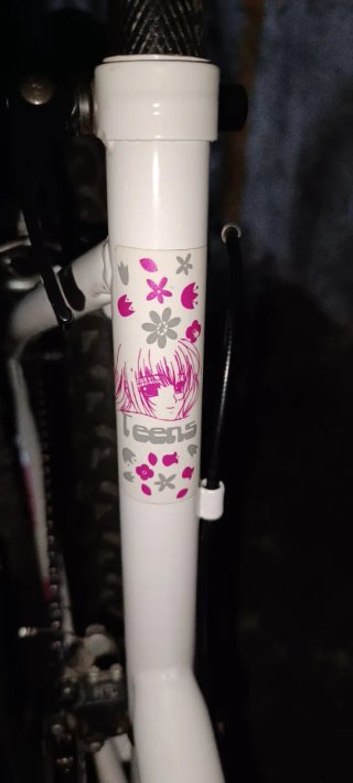 Bicicleta 24 Blanca y Fucsia