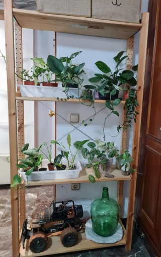 Estantería Pino IKEA IVAR 4 baldas
