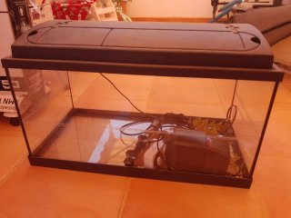 Acuario 60cm Negro Transparente