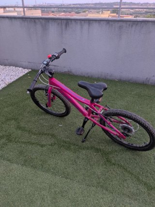 Bicicleta Niña Rosa
