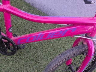 Bicicleta Niña Rosa
