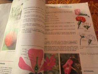 Lote 2 libri EGB Cosmos Anaya