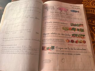 Lote 2 libri EGB Cosmos Anaya