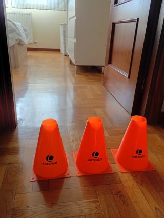 Conos y setas de entrenamiento