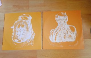DOBLE VINILO ORBITAL