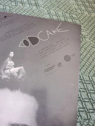 Maxi single Cod Cake "And the rain"