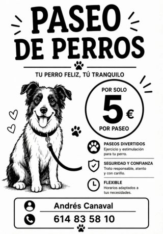 Paseos de perros en San Vicente del Raspeig