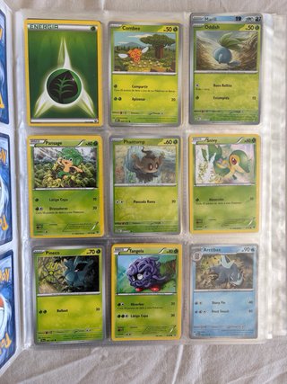 Carte Pokémon in vendita