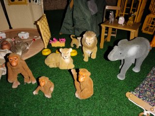 Cabaña Simba Safari y animales