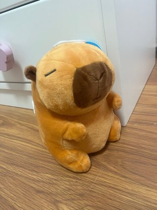 Peluche Capibara Nuevo con Etiqueta