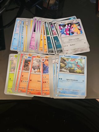 Carte Pokémon Mawile e Totodile