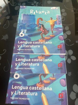 Libros de sexto de primaria