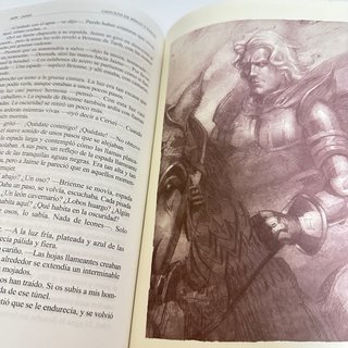 Tormenta de espadas (cartoné)
