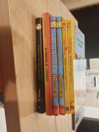 Llibres en català