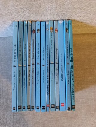 Lote del libro es el Barco de Vapor