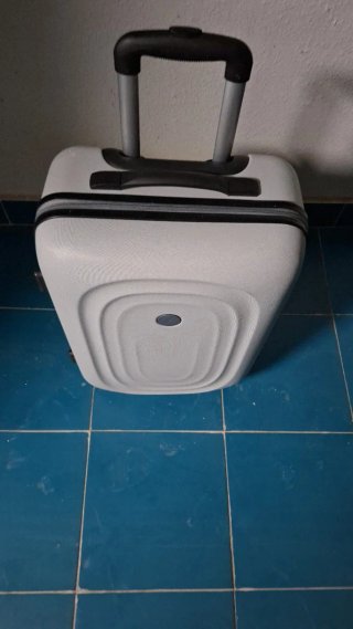 Aspiradora Rowenta Air Force Extreme