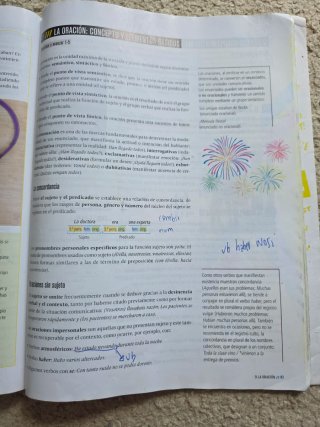 Lengua castellana y literatura 2 Secundaria
