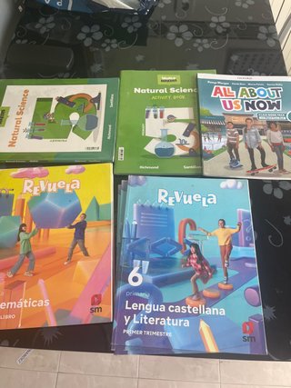 Libros de sexto de primaria