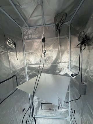 Invernadero interior para cultivo