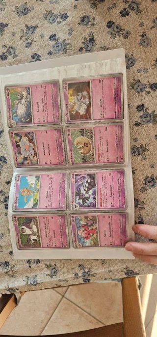 Carte pokemon