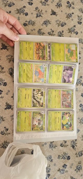 Carte pokemon