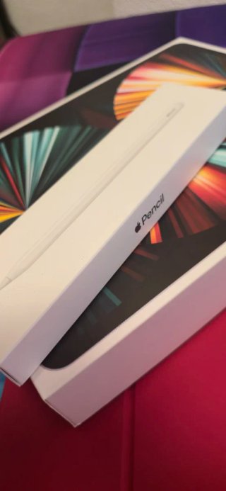 Ipad pro 12,9' del 2021 plata de 256Gb