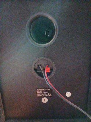 Altavoces Philips Marrones y Azules