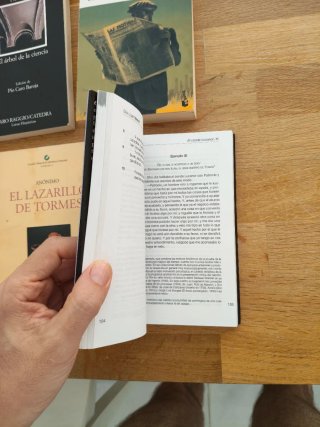Lote de libros, El Quijote, la celestina,el lazari