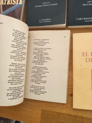 Lote de libros, El Quijote, la celestina,el lazari
