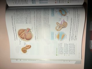 Biologia i Geologia 3r ESO