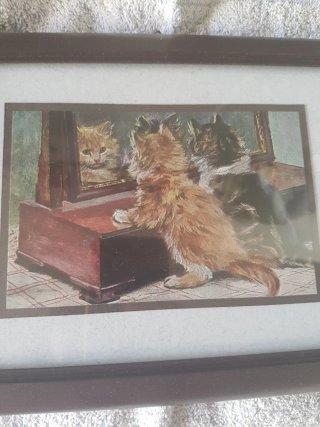 Quadretto con gattini