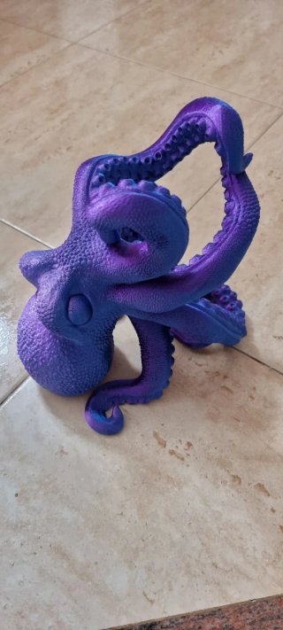 Botellero Pulpo