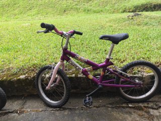 Bicicleta infantil 5-7 años