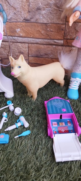 Nancy veterinaria con accesorios y perro