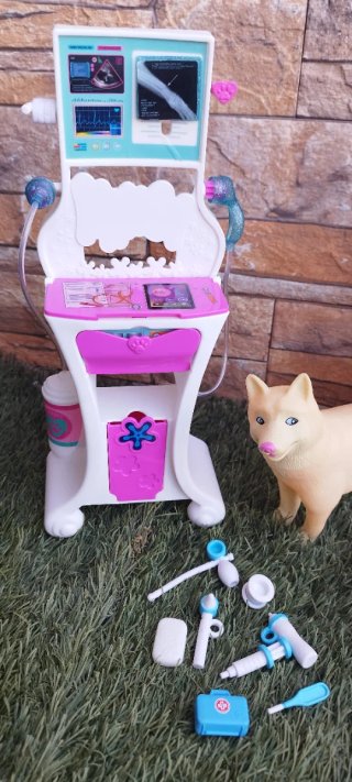 Nancy veterinaria con accesorios y perro
