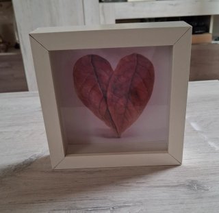 REBAJADOS, Marcos de profundidad corazón
