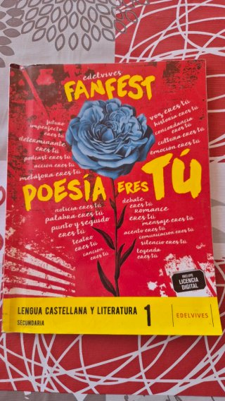 Lengua castellana y literatura 1 Secundaria