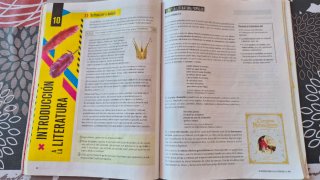 Lengua castellana y literatura 1 Secundaria