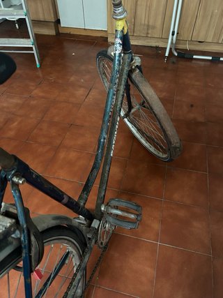 Bicicleta Holandesa Clásica