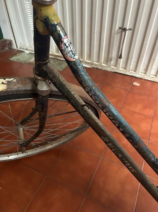 Bicicleta Holandesa Clásica