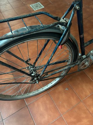 Bicicleta Holandesa Clásica