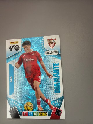 Panini Adrenalyn XL Nuevo Diamante 508