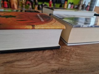 Lote libros