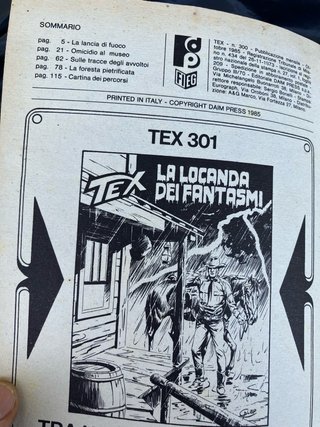 Fumetto TEX 300
